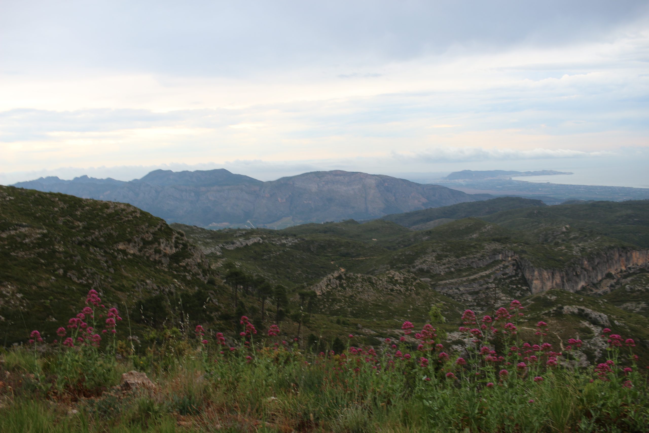 La Drova