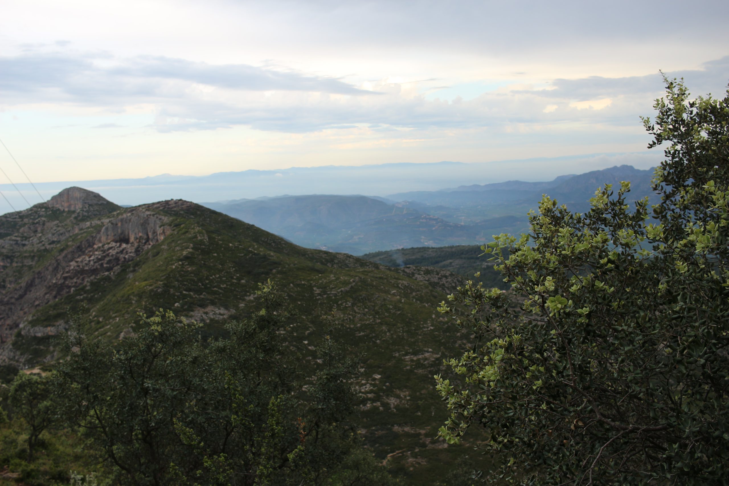 La Drova