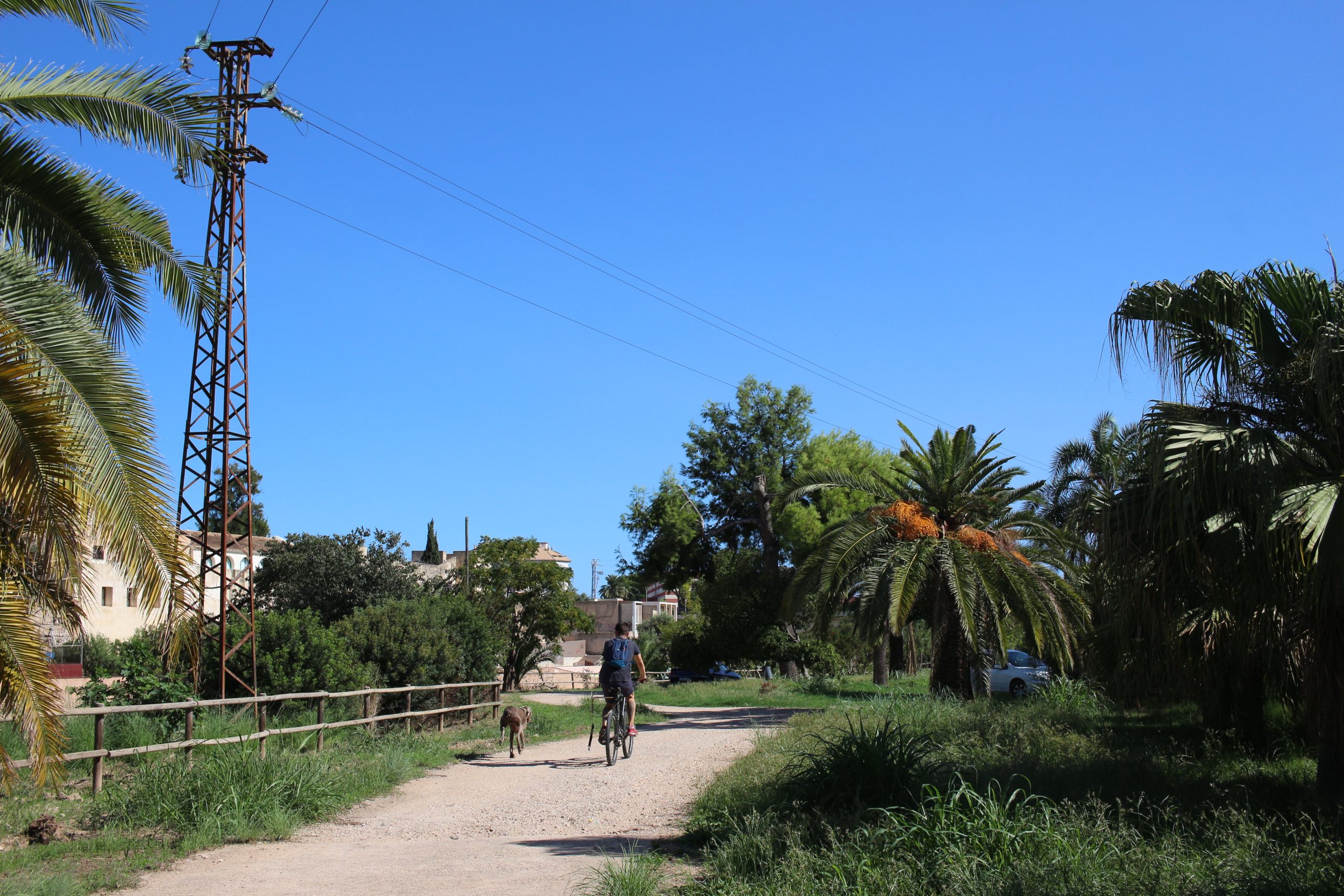 person cycling at the end of the bridge in a park