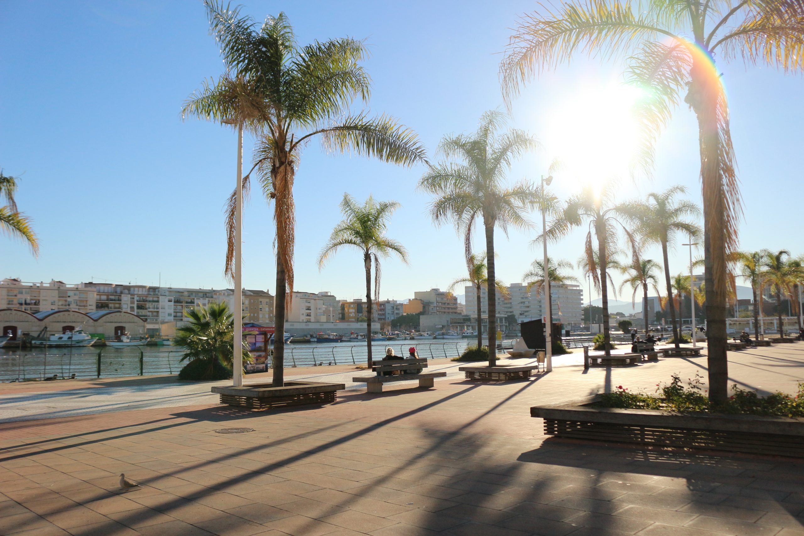 Gandia port
