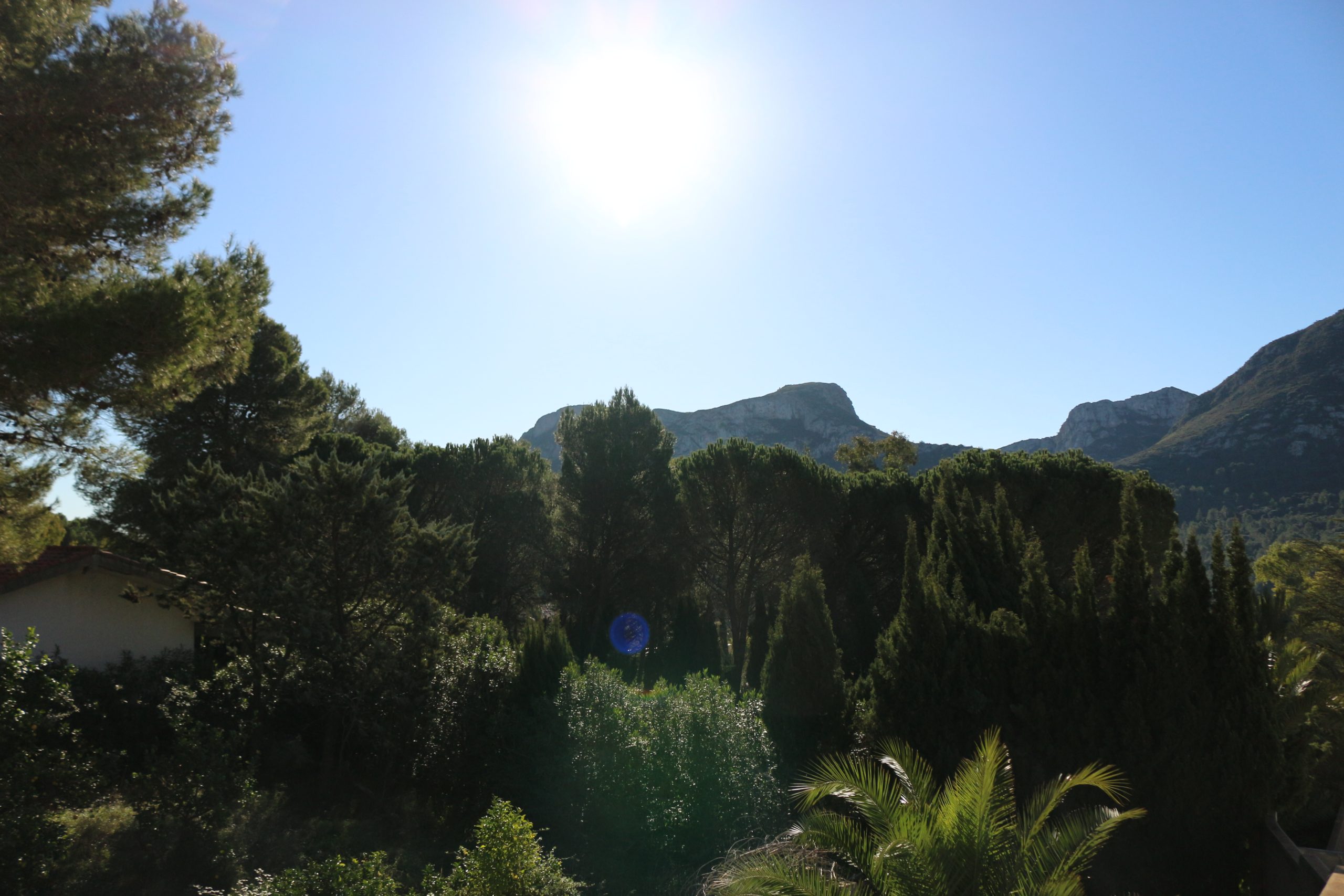 lushgreenery