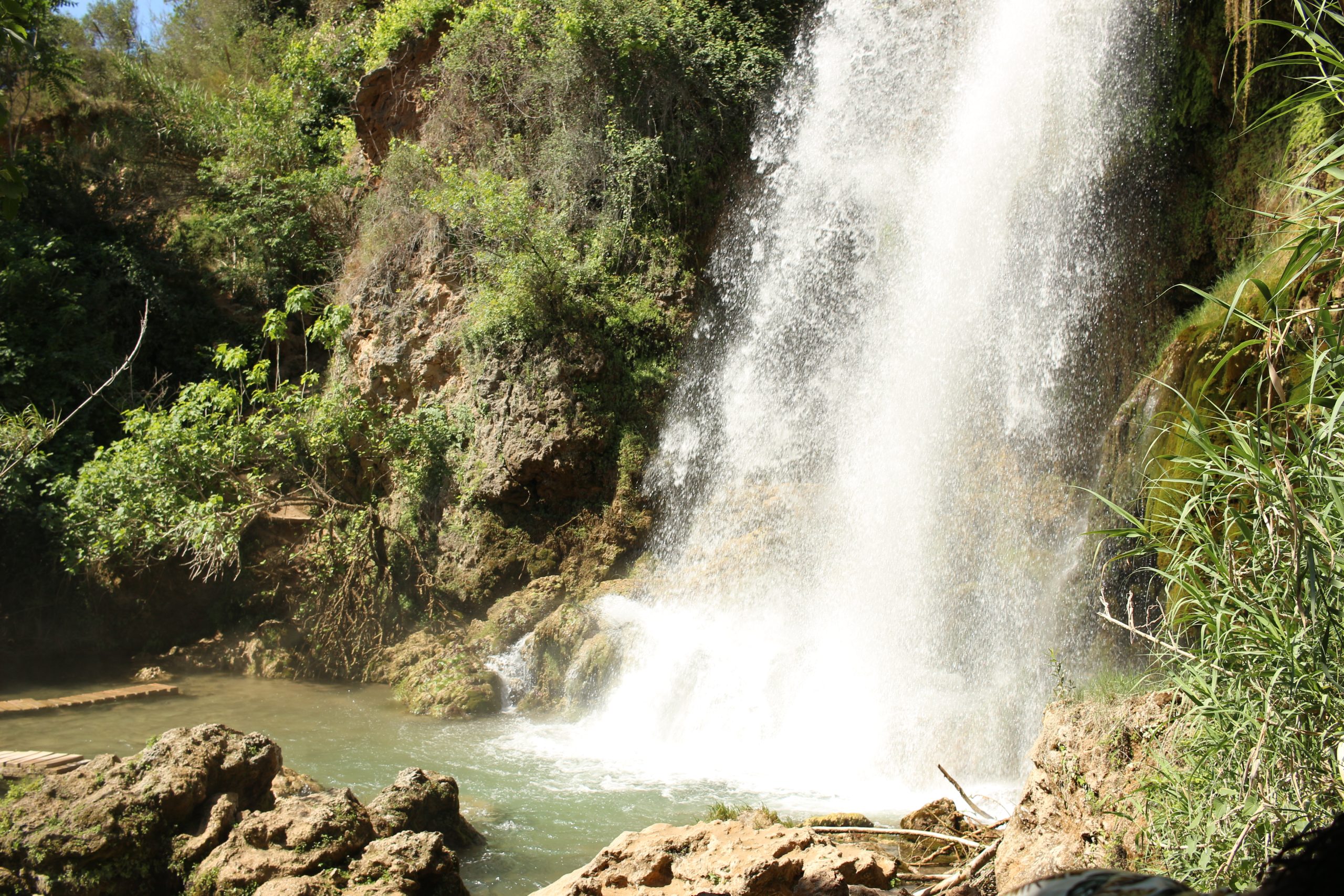 ruta anna cascades