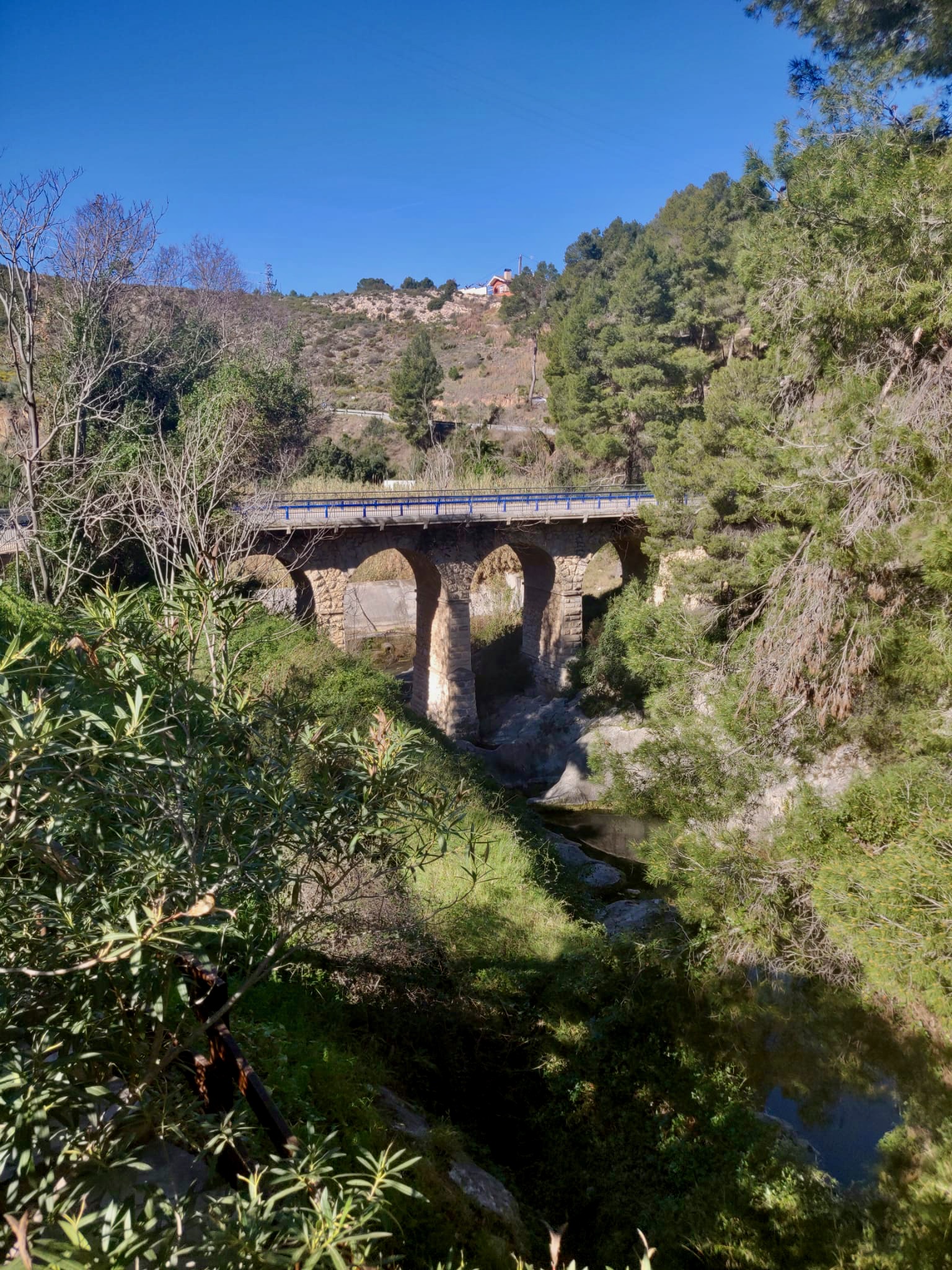 bridge ontinyent