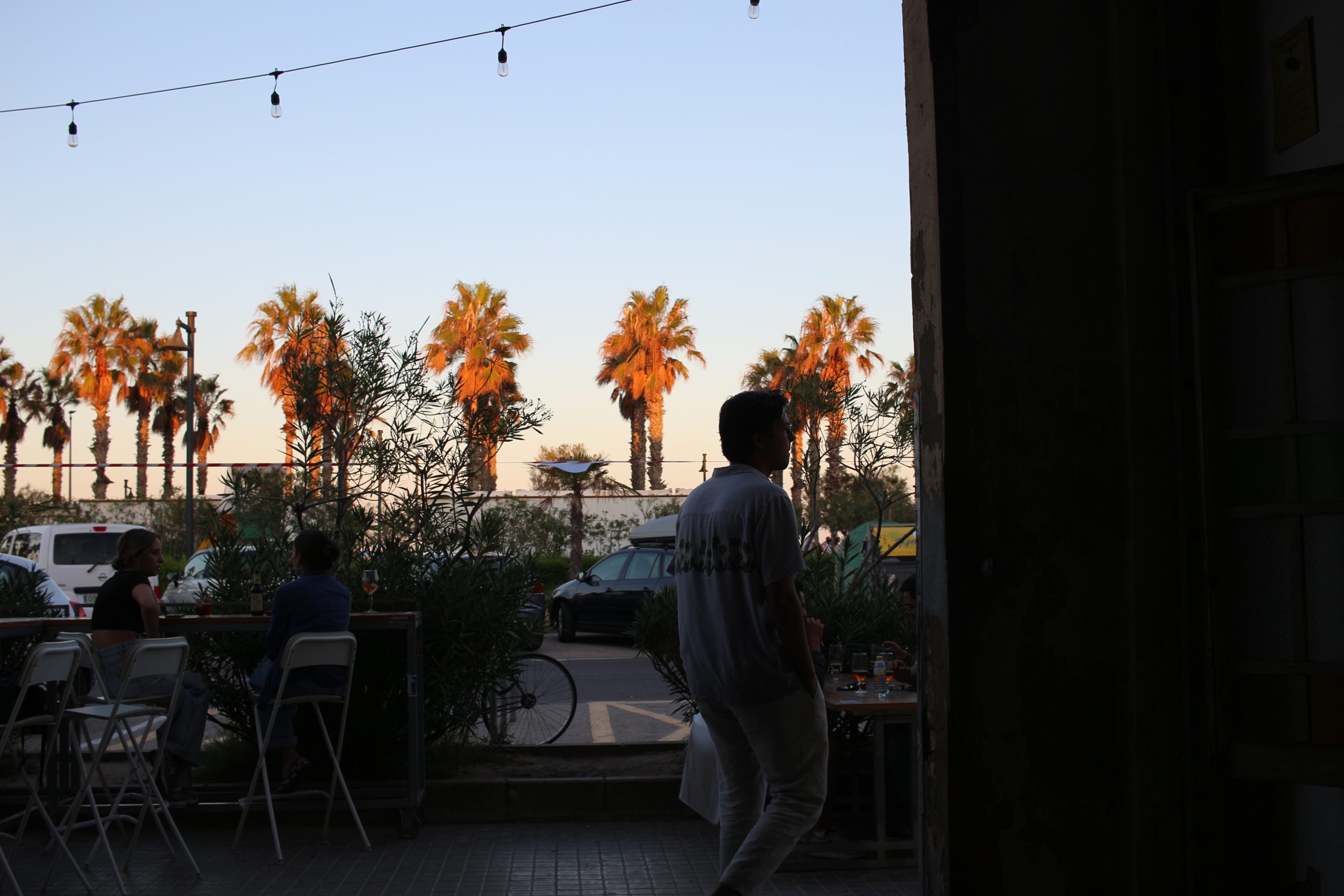 guy walking outside with palm trees in the background